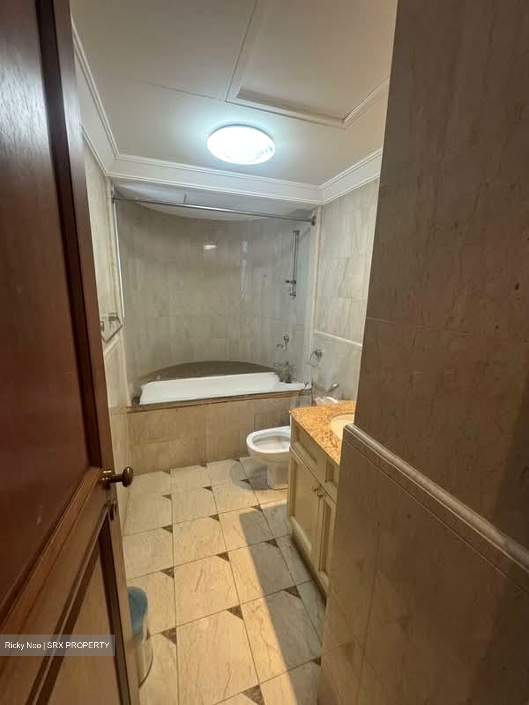 Valley Park (D10), Condominium #595772961